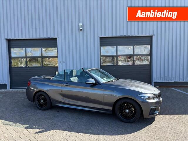 BMW 2 Serie xecutive M-sport I Alcantara I Navi All-in prijs!